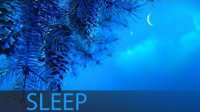 8 Hour Sleep Music For Insomnia: Deep Sleep Music, Sleeping Music, Help Insomnia ☯207