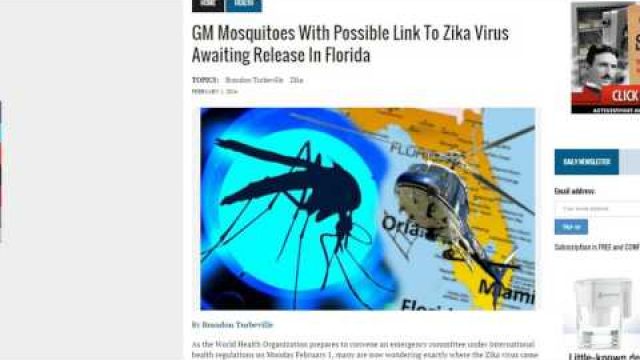 Boom! This Is Where Zika Virus Originated, 1st Sexually Transmitted Case In US & More! 