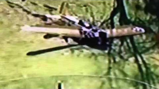 BREAKING Harrison Ford Crash Lands Airplane