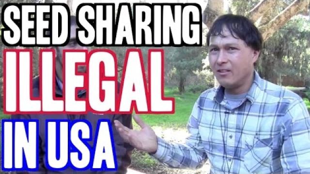 Seed Sharing Deemed Illegal in the United States