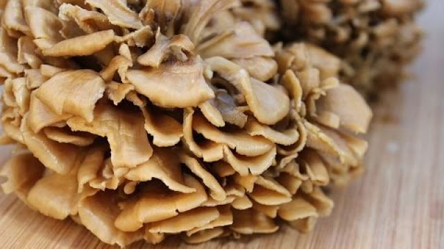 Maitake Mushrooms, Immune Enhancing Beta-Glucan Polysaccharides
